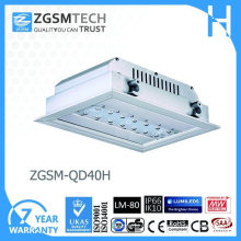 LED Low Voltage Retrofit Recessed Down Light 40W